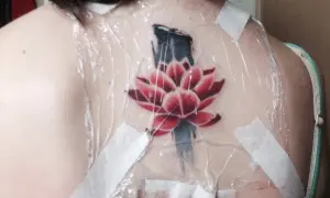 Flor de loto roja y azul recién tatuada en la espalda, cubierta con plástico y cinta. ¿Cuánto se tarda en hacer un tatuaje?
