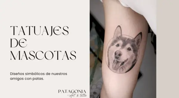 Un tatuaje de perro realista en un brazo, con el texto "Tatuajes de Mascotas" y "Patagonia Art & Tattoo".