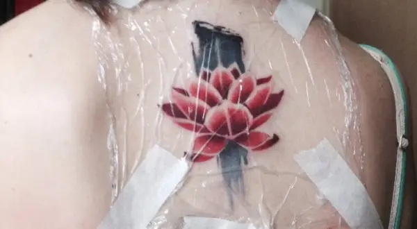 Flor de loto roja y azul recién tatuada en la espalda, cubierta con plástico y cinta. ¿Cuánto se tarda en hacer un tatuaje?